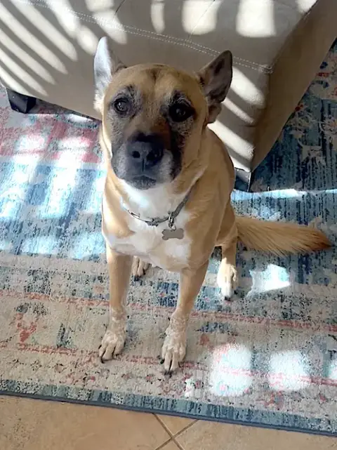 Duke photo 2