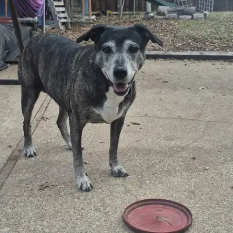 Zoey Xi photo 2