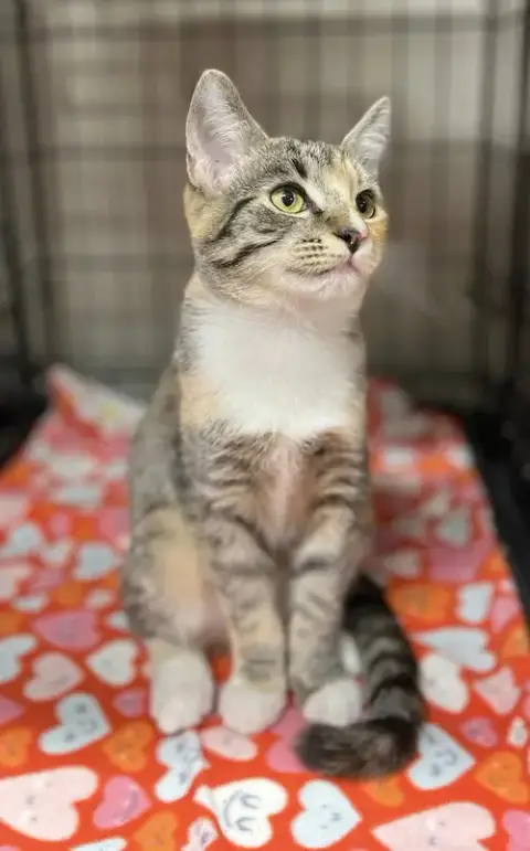 Tina photo 4