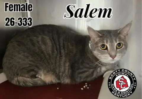 Salem