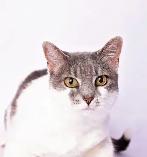 Charlie photo 2