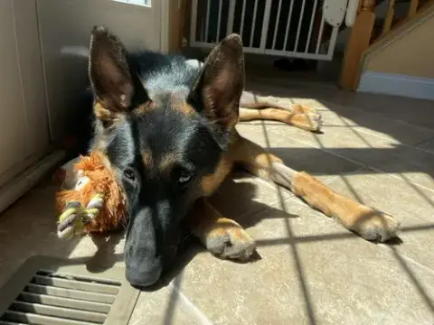 Layla photo 3