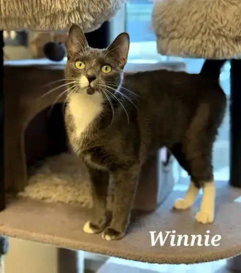 Winnie photo 3