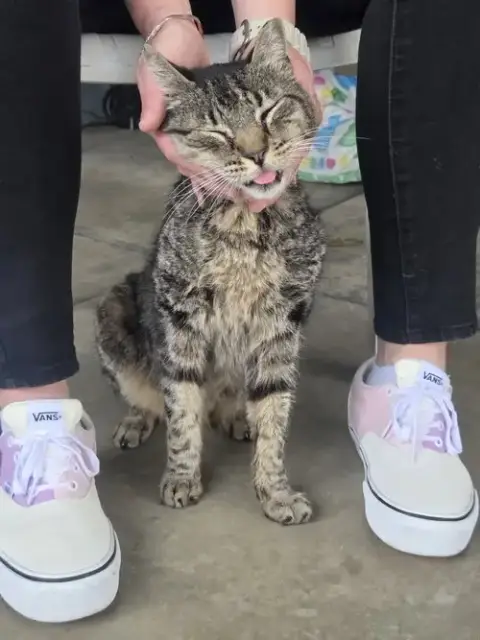 Tigger
