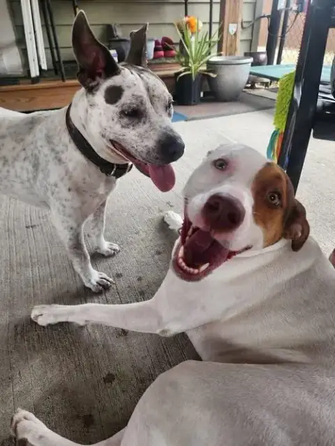 Trinity- Certified Good Girl photo 5