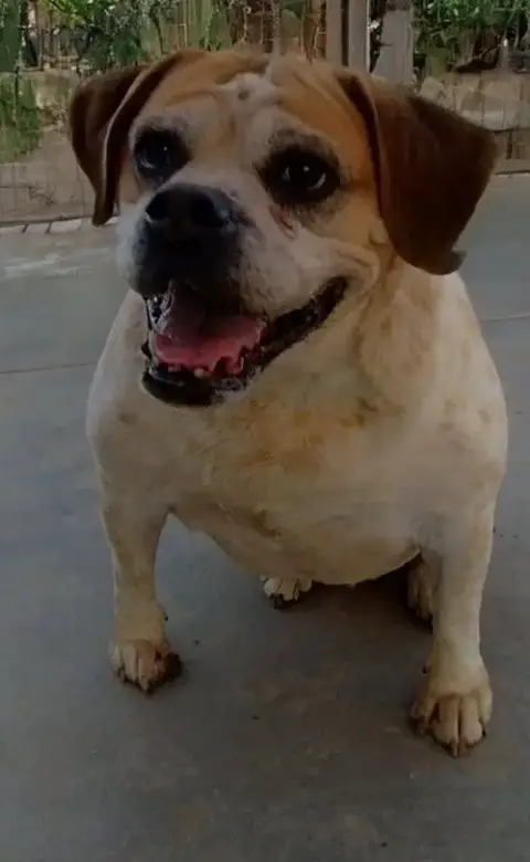 Fiona photo 3