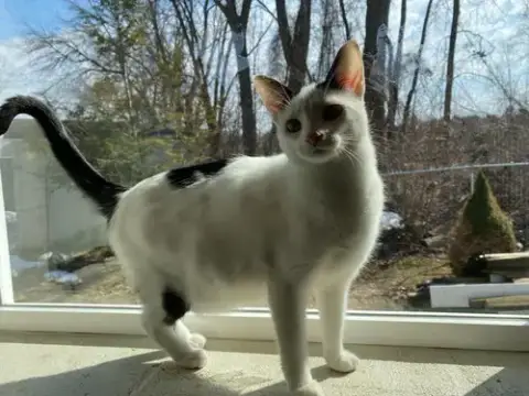 Ella photo 2