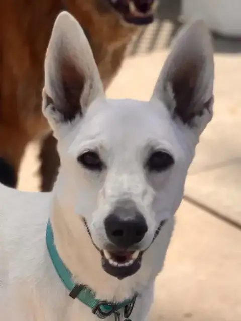 Gracie Mae photo 3