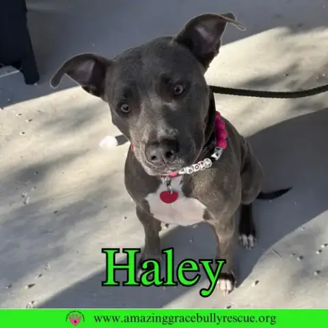 Haley photo 3