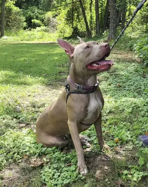 Persephone In Gloucester Va photo 2