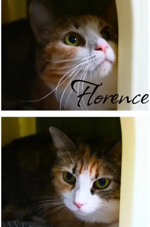 Florence