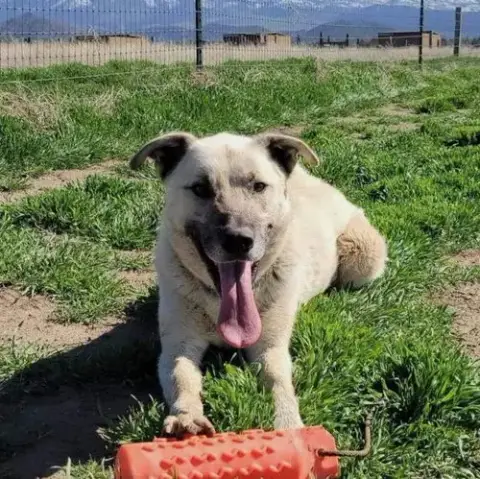 Floyd photo 2
