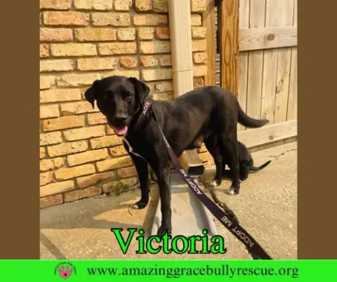 Victoria