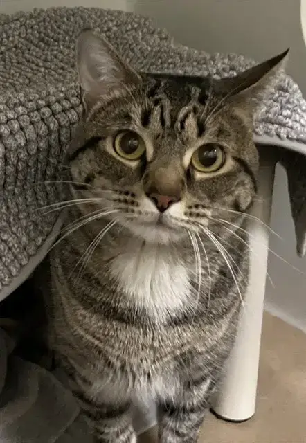 Zuko