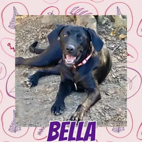 Bella Lea photo 2