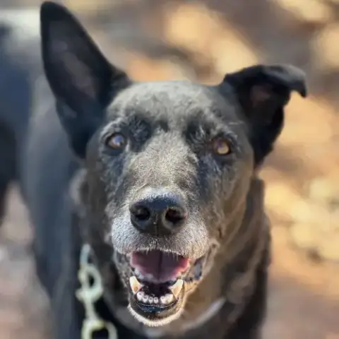 Kaeli photo 4