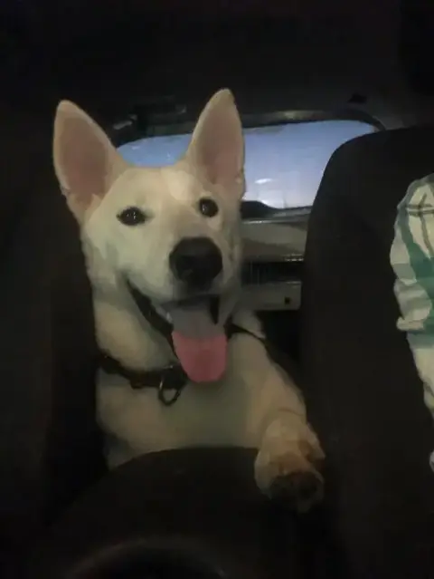 Jake photo 2