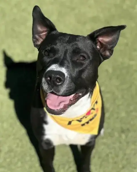 Zeus