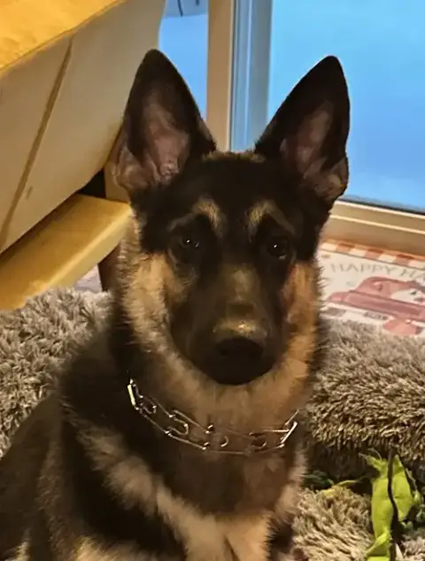 Max