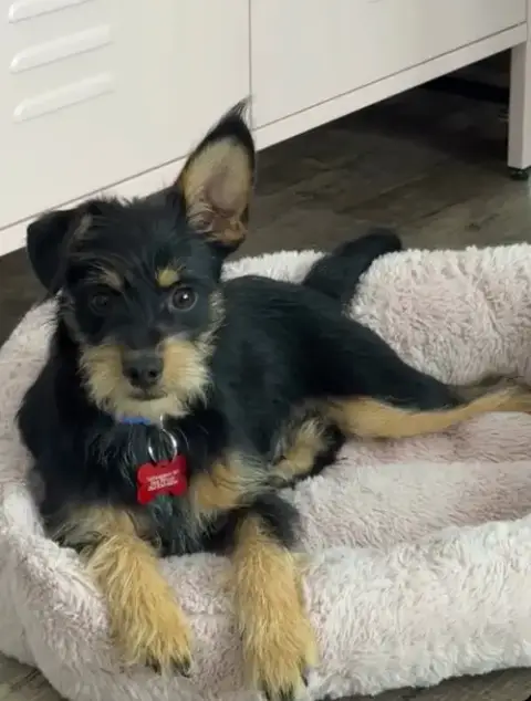 Charlie photo 3