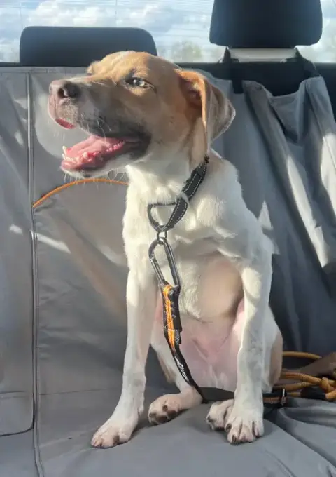 Zeus photo 3