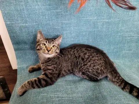 Theodore