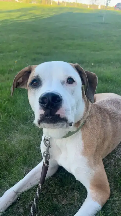Lenny- Os