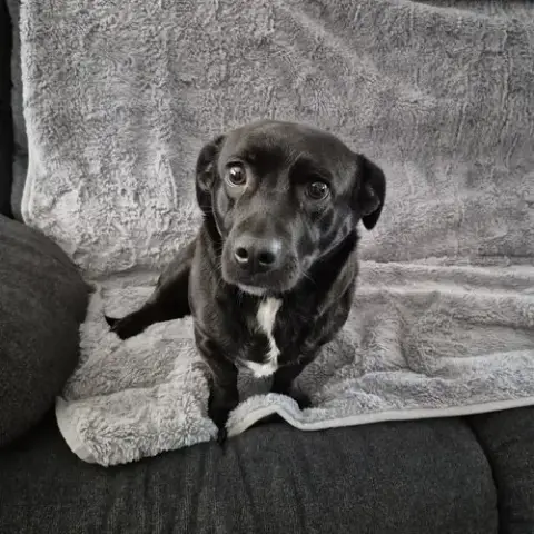 Luke photo 4
