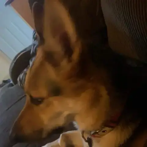 Sammi photo 4