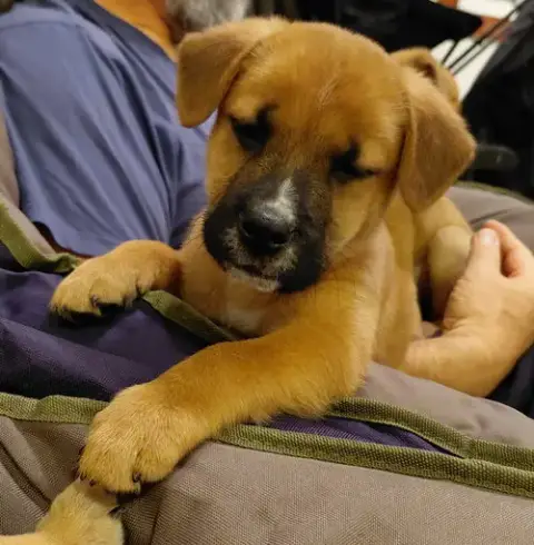 Sheldon photo 2