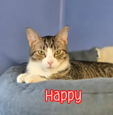 Happy photo 3