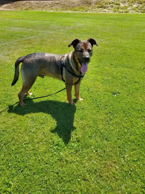 Max