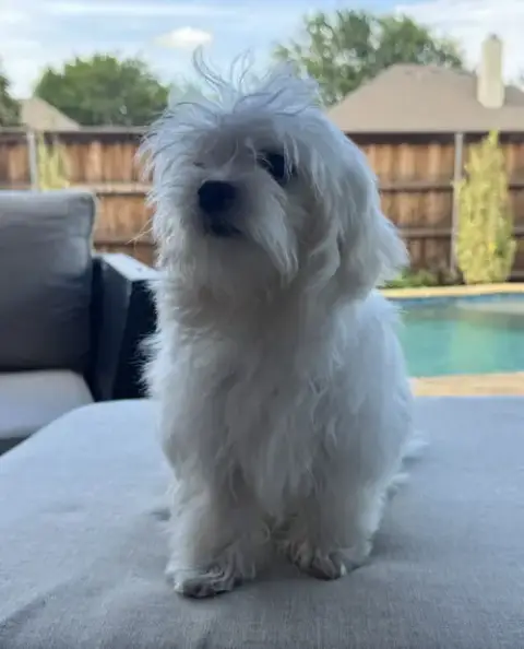 Bella photo 3