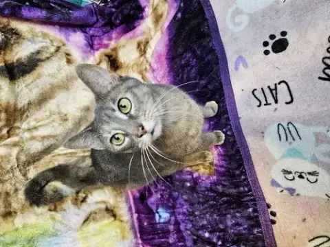 Rena photo 2