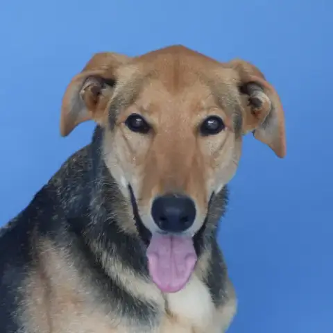 Luna
