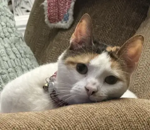 Josephine