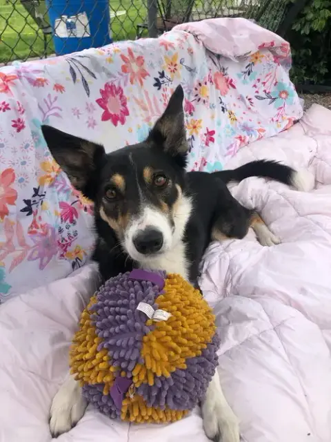 Bella