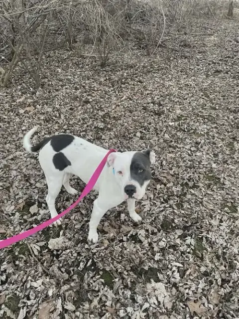 Bella photo 2