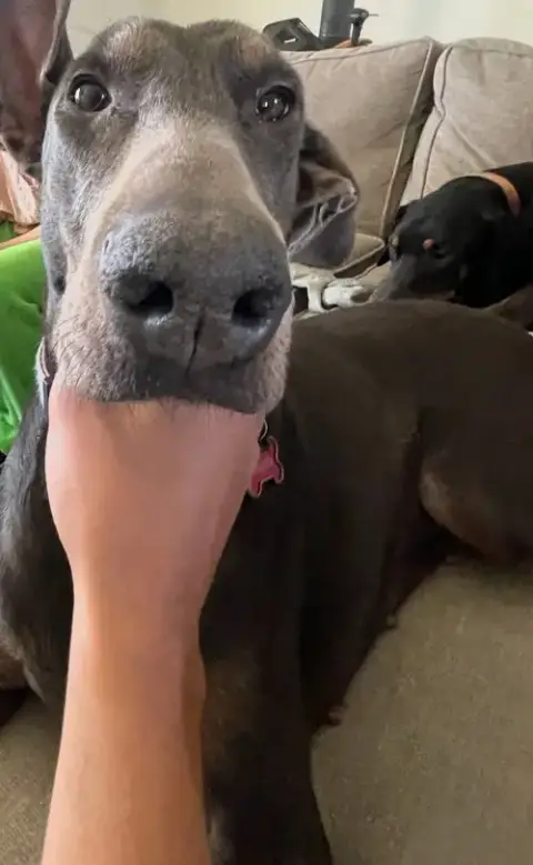 Maggie