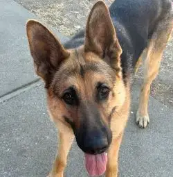 Josie C. photo 2