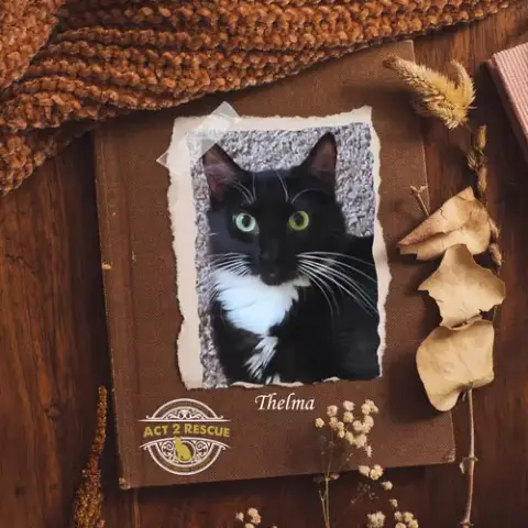 Thelma