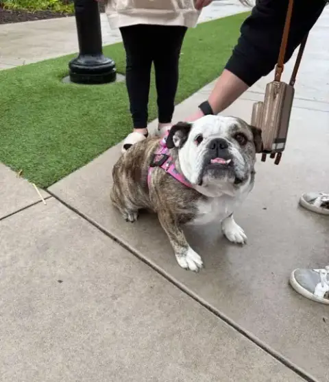 Chloe
