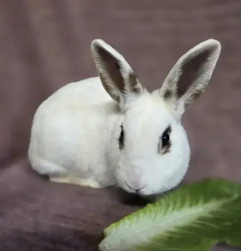 Eloise photo 2