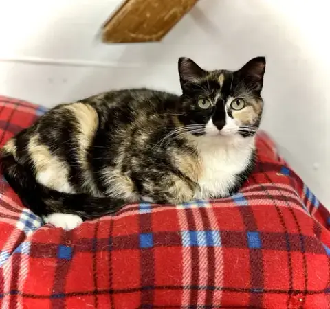 Rita