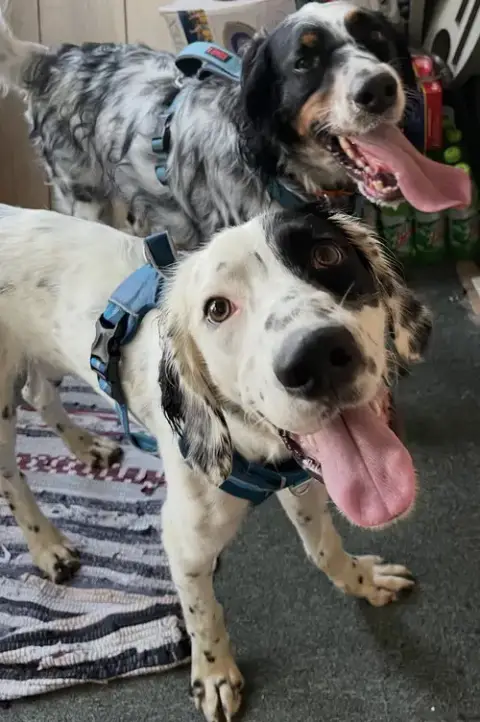 Boomer & Murphy photo 2