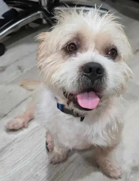 Tank The Man