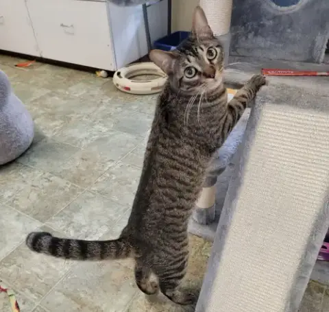 Han #Take-Charge photo 2
