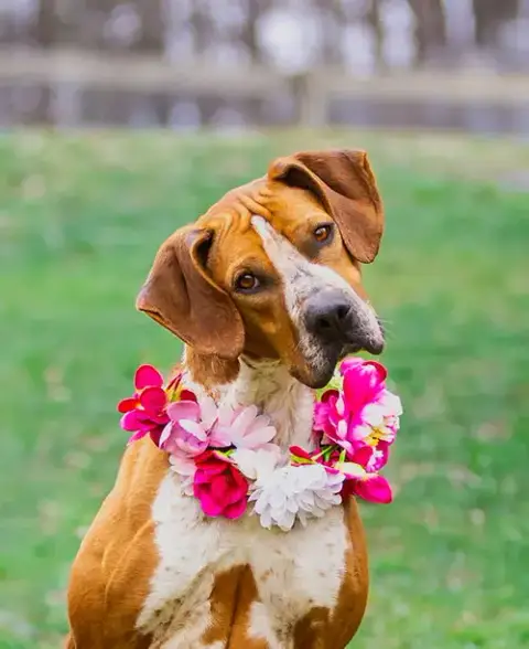 Addie photo 5