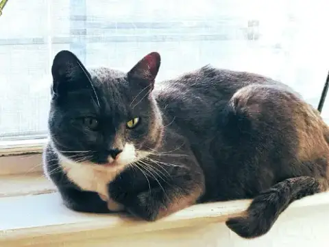 Smokey photo 2