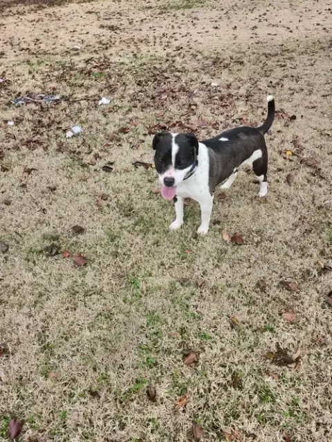 Daisy June photo 2
